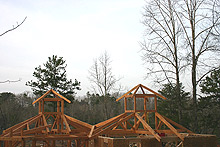Mountain timber homes